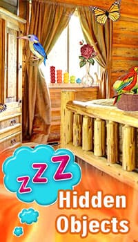 zZz Hidden Objects